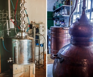 Pot Stills vs. Column Stills