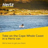 Take on the Cape Whale Coast in a Hertz car - Hertz Rent a Car - Xplorio™ Hermanus