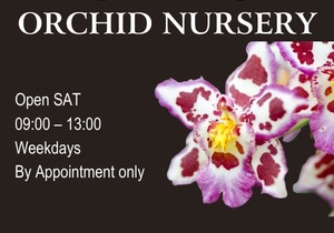 We are open on Saturdays!