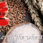 Even the wheat is Italian! - Dal-Italia - Xplorio™ Hermanus