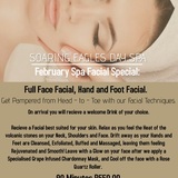 soaring_feb_add_1612775782