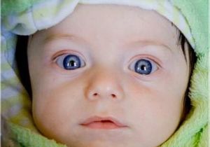 Sam leef egter voort in The Butterfly Centre