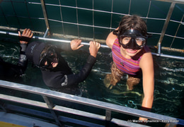 Daily Blog 06 February 2021 | Shark Cage Diving in South Africa