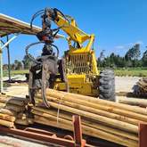 Fynbos Pole Depot - Xplorio™ Hermanus