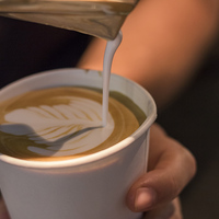 Local Coffeee - Gansbaai Food & Wine Festival - Xplorio™ Gansbaai