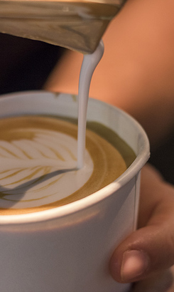 gansbaai_coffee_shop_raging_goose_coffee_ake_away_coffee_1613119240