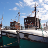 Gansbaai Harbour - Gansbaai Food & Wine Festival - Xplorio™ Gansbaai