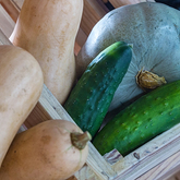 Organically Grown Vegetables - Gansbaai Food & Wine Festival - Xplorio™ Gansbaai