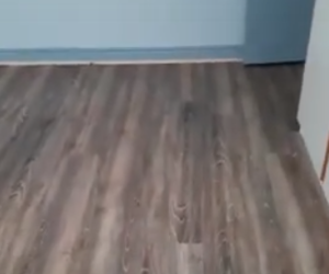 Recent Flooring Installation - Series 200 Vinyl