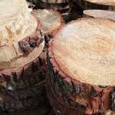 Garden Goodies - Fynbos Pole Depot - Xplorio™ Bredasdorp