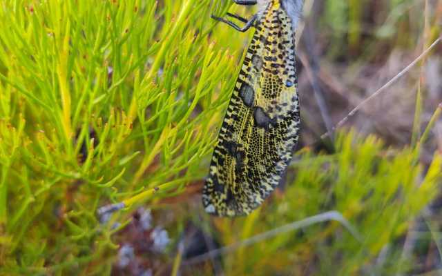 WhatsApp_Image_2021_02_22_at_11.16.54_1613990755