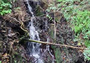 Exploring the hills and valleys surrounding Gansbaai!
