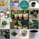 Koekeloer Gift Shop Gansbaai