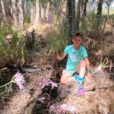 March Lilies - Beloftebos Farm Cottages - Xplorio™ Stanford