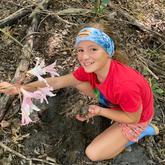 March Lilies - Beloftebos Farm Cottages - Xplorio™ Stanford