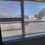 155469512_278445043694739_6945891348571477697_n_1614666235