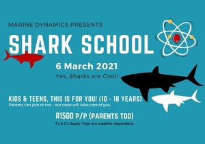 Shark School - 6 March 2021