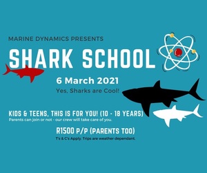 Shark School - 6 March 2021