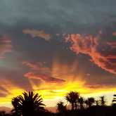 We will be bottling our 2019 Welgesind Shiraz on Thursday 4 March - Welgesind Wine Estate - Xplorio™ Stanford