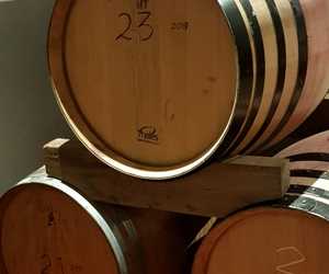 2019 Welgesind Shiraz