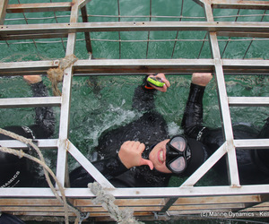 Daily Blog: 08 March 2021 | Shark Cage Diving in South Africa