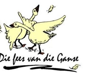 Feesgans se nuwe vere