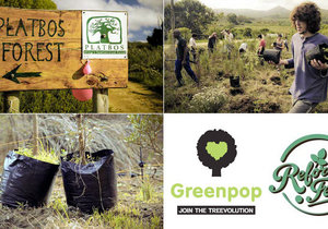 Go Green - Gansbaai Weekend Inspiration