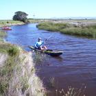 Nuwejaars River for Canoeing and Birding - Agulhas National Park - Xplorio™ L'Agulhas