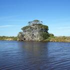 Nuwejaars River for Canoeing and Birding - Agulhas National Park - Xplorio™ L'Agulhas