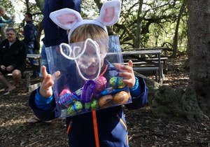 4 April 2021: Easter Egg Hunt in the Forest