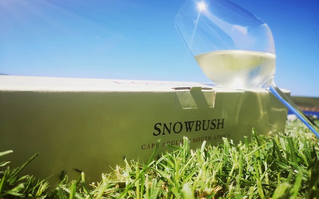 160679789_5201750739866172_1849678423601062263_o_1616131988