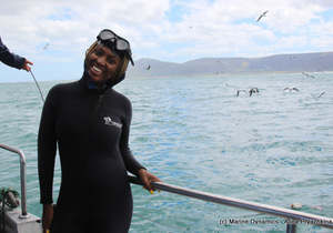 Daily Blog: 21 March 2021 | Shark Cage Diving in South Africa