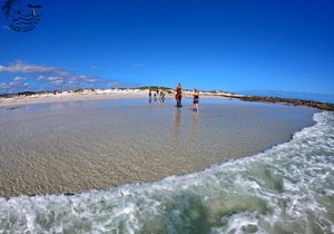 Make your bucket list dream come true...