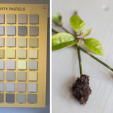 Bredasdorp - Paintsmiths - Dirty Pastel Colours