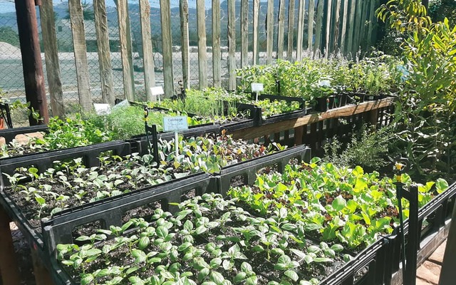 165008844_272931551148704_9185926457468765666_n_1_1616670531