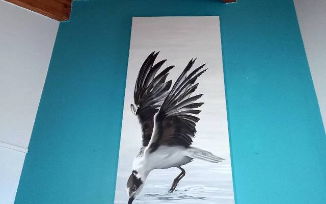 166338101_10160815438162598_2551442905426356496_o_1617008016