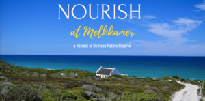 De Hoop Collection’s Nourish Retreat