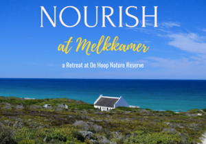 De Hoop Collection’s Nourish Retreat
