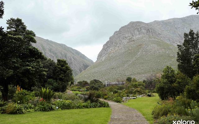 bettys_bay_things_to_do_harold_porter_botanical_garden_foot_path_mountain_1572352677_1617099618