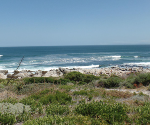 699 m² Vacant Land For Sale in De Kelders - R1,720,000