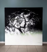 Sun Sea and Soul Exhibition: Open 7 Days a Week