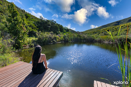 _24_Bodhi_KhayaBK_XT_01_LoRez_1617889494