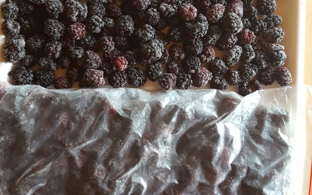 Frozen_Blackberries_1618215285