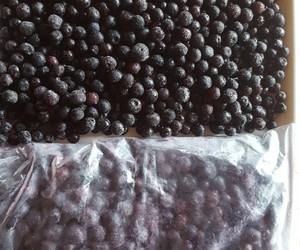 Frozen Blackberries, Blueberries and Strawberries