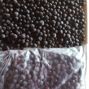 Frozen_Blueberries_1618215283