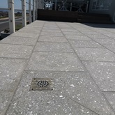Nacre Polished Abalone Concrete Charcoal 450x450x20mm Black Stone - Cape Stone - Xplorio™ Hermanus