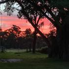 Autumn Sunset - Beloftebos Farm Cottages - Xplorio™ Stanford