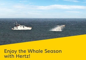 Enjoy the Whale Season with Hertz!