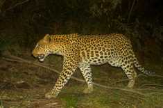 185dfc75_9379_4303_9c60_31eb070e9463_1618567434