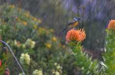 a11ffd16_b489_4e92_9f2c_bd33de405c0f_1618567627